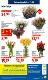 Lidl gazetka Strona 61