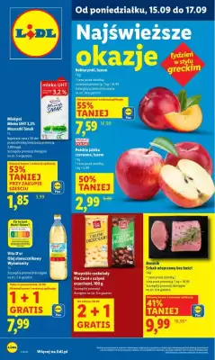 Lidl gazetka (ważność do 17-09)