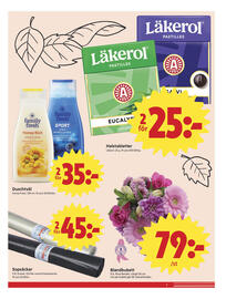 ICA Nära reklamblad vecka 38 Sida 5