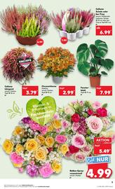Kaufland DE folder week 38 Pagina 5