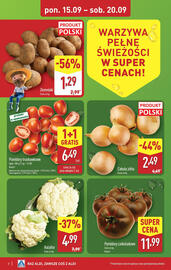 ALDI gazetka tydzień 38 Strona 2