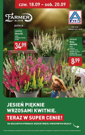 ALDI gazetka tydzień 38 Strona 33