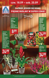 ALDI gazetka tydzień 38 Strona 34