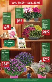 ALDI gazetka tydzień 38 Strona 35