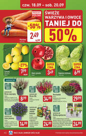ALDI gazetka tydzień 38 Strona 36