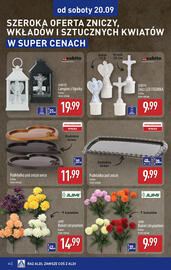 ALDI gazetka tydzień 38 Strona 44