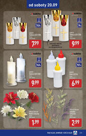 ALDI gazetka tydzień 38 Strona 45