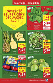 ALDI gazetka tydzień 38 Strona 5