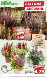 Kaufland Prospekt woche 38 Seite 4