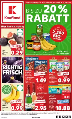 Kaufland Prospekt (gültig bis 24-09)
