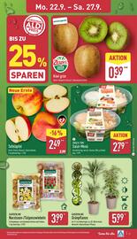 Aldi Nord Prospekt woche 39 Seite 7