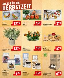 Famila Nord Ost Prospekt woche 38 Seite 24