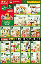 Norma Prospekt woche 39 Seite 10