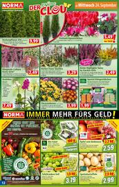 Norma Prospekt woche 39 Seite 12