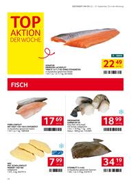 Transgourmet Flugblatt woche 39 Seite 12