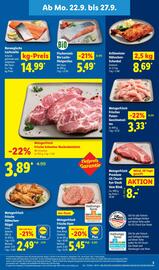 Lidl Prospekt woche 39 Seite 13
