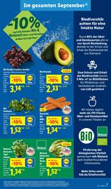 Lidl Prospekt woche 39 Seite 3