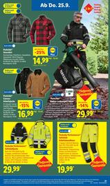 Lidl Prospekt woche 39 Seite 31