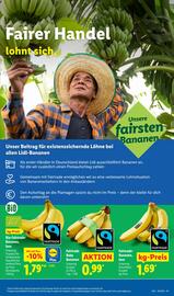 Lidl Prospekt woche 39 Seite 61
