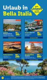 Lidl Prospekt woche 39 Seite 66