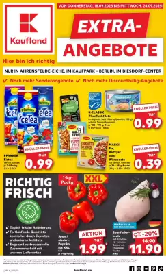Kaufland Prospekt (gültig bis 24-09)