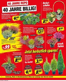 Repo Markt Prospekt woche 38 Seite 2