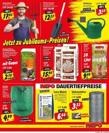 Repo Markt Prospekt woche 38 Seite 3