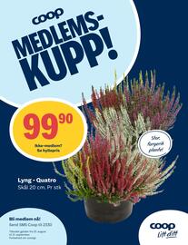 Coop Prix kundeavis uke 38 Side 12