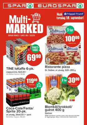 Spar kundeavis (gyldig til 20-09)