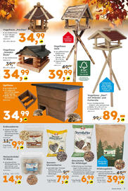 Globus Baumarkt Prospekt Seite 7