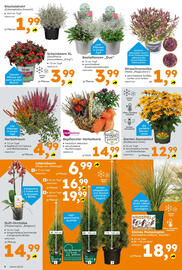 Globus Baumarkt Prospekt Seite 6