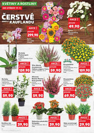 Kaufland leták týden 38 Strana 6