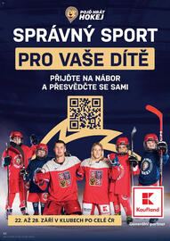 Kaufland leták týden 38 Strana 88