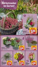 REWE Prospekt woche 38 Seite 8