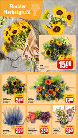 REWE Prospekt woche 38 Seite 9