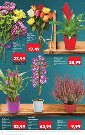 Catalog Kaufland săptămâna 38 Pagină 18