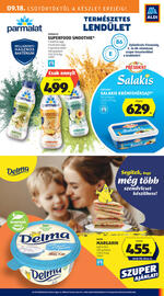 ALDI akciós újság hét 38 Oldal 15