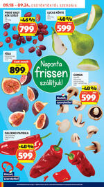 ALDI akciós újság hét 38 Oldal 6