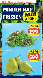 ALDI akciós újság hét 38 Oldal 9