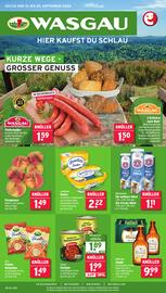 Wasgau Prospekt woche 38 Seite 1