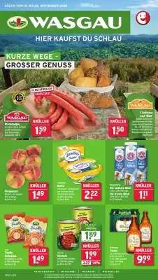 Wasgau Prospekt (gültig bis 20-09)