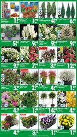 Wreesmann Prospekt woche 38 Seite 3