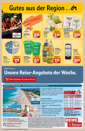 REWE Prospekt woche 38 Seite 23