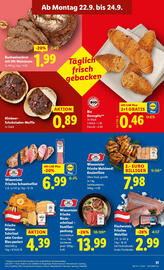 Lidl Flugblatt woche 38 Seite 35