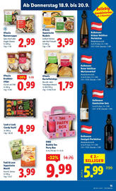 Lidl Flugblatt woche 38 Seite 15