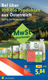 Lidl Flugblatt woche 38 Seite 16