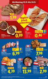 Lidl Flugblatt woche 38 Seite 35