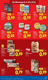 Lidl Flugblatt woche 38 Seite 39