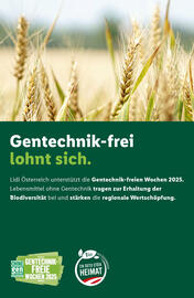 Lidl Flugblatt woche 38 Seite 41