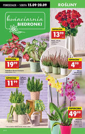 Biedronka gazetka tydzień 38 Strona 32